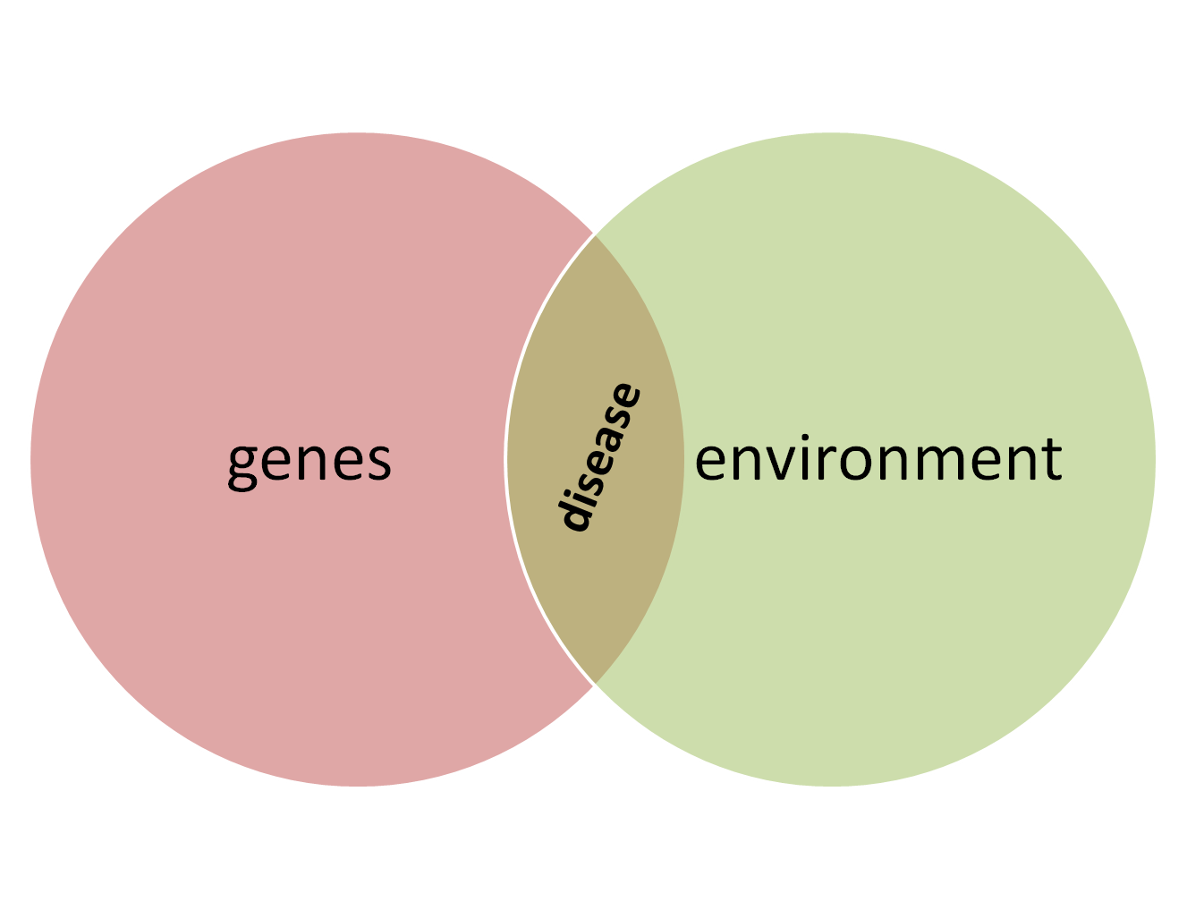 Explain Environment Factors