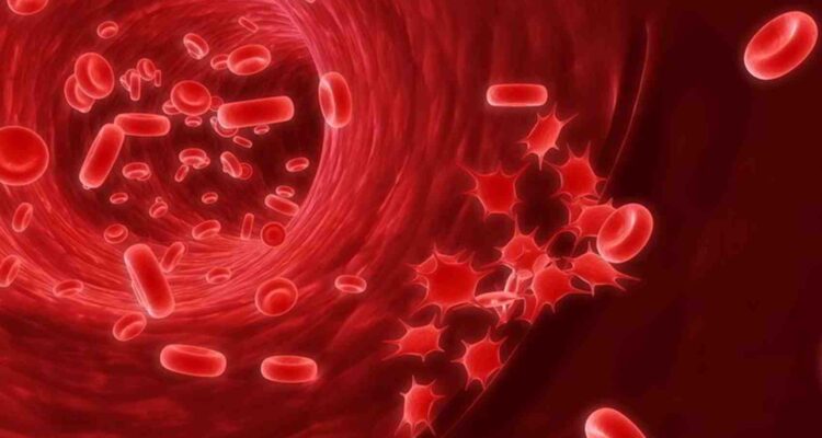 blood platelets