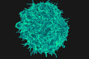 T Cell Therapy