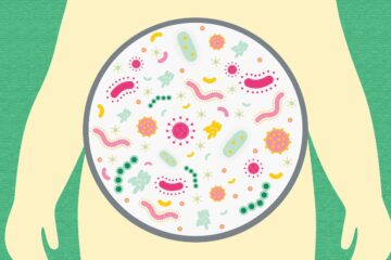 gut bacteria