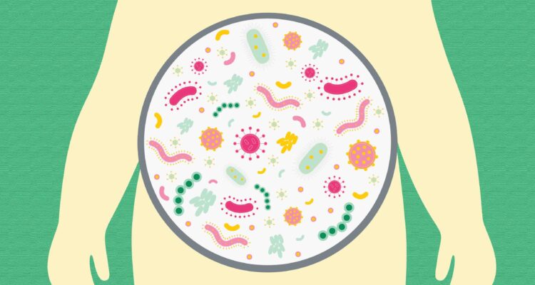 gut bacteria