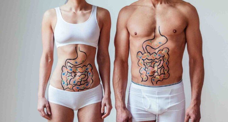 gut microbiome