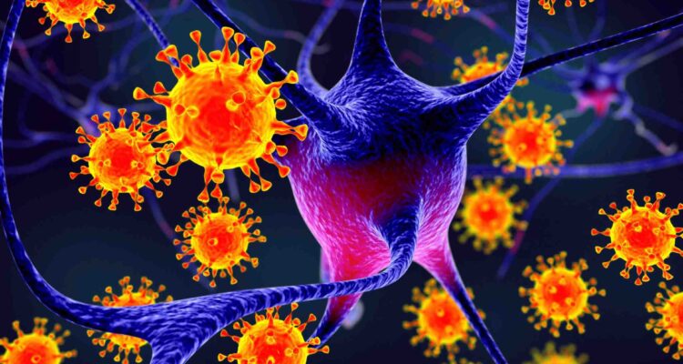 Epstein-Barr virus and multiple sclerosis