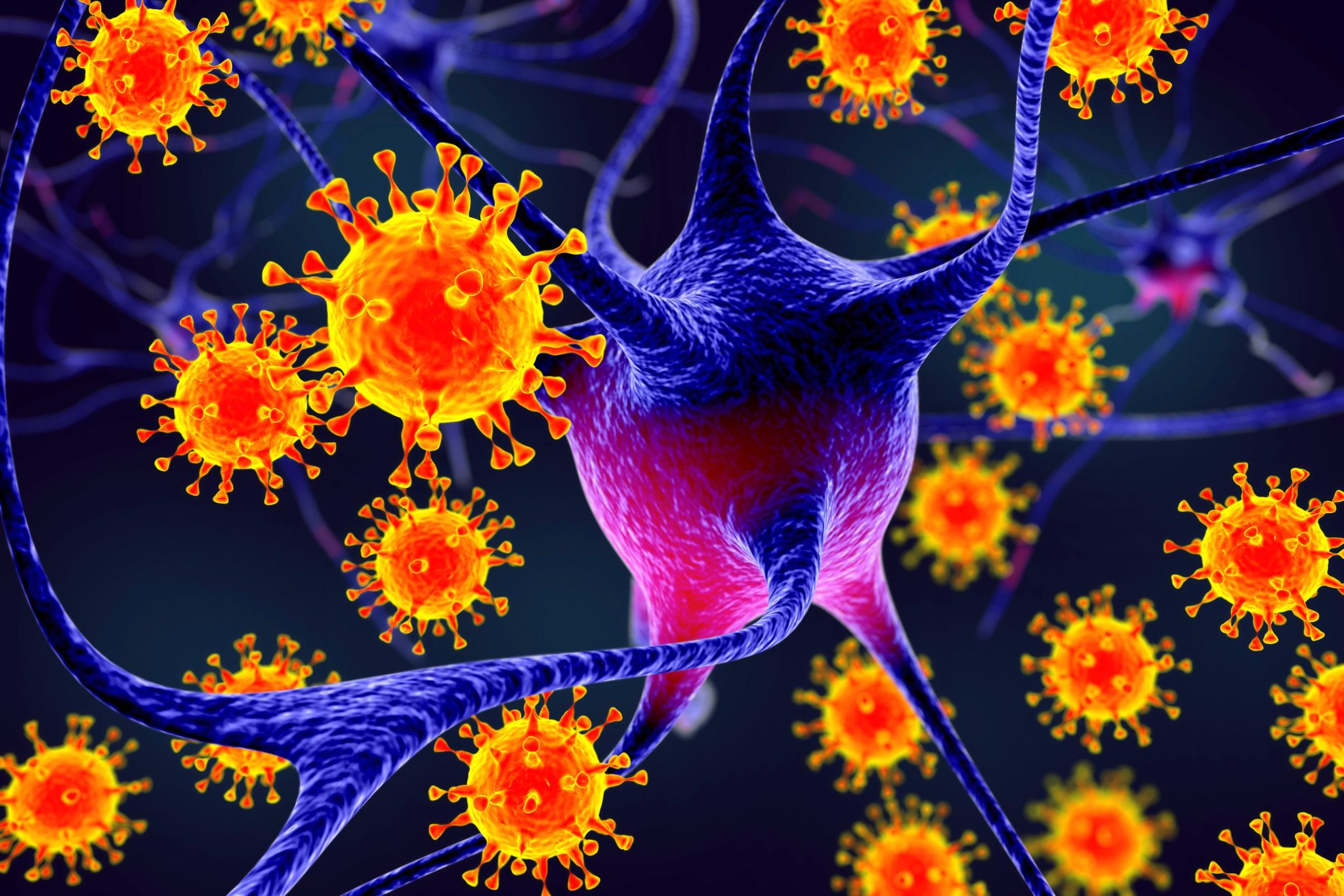 is-epstein-barr-virus-the-cause-of-multiple-sclerosis