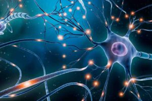 remyelination research