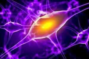 COVID Infection multiple sclerosis