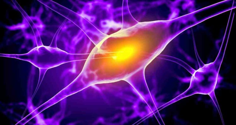COVID Infection multiple sclerosis