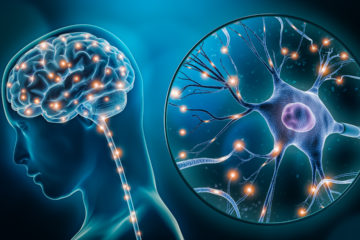 retinoic acid and calcitriol